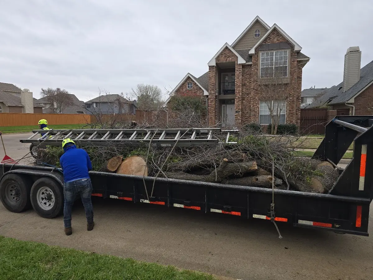 Expert Tree Fertilization with proper safety equipment in Nesbit